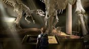 The Adventures of Jurassic Pet Fragman