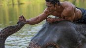 Junglee Fragman