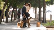 Dog Days Fragman