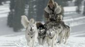 The Great Alaskan Race Fragman