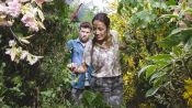 The Shack Fragman