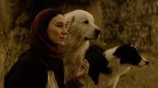 Yunan Fragman