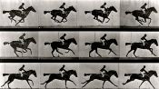 Eadweard Fragman