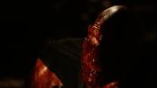 Little Bites Fragman