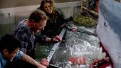 Sharknado Fragman