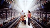 Poisoned: The Danger in Our Food Fragman