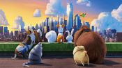 The Secret Life of Pets Fragman