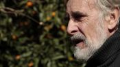 Tangerines Fragman