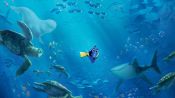 Finding Dory Fragman