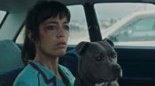 Vincent Must Die Fragman