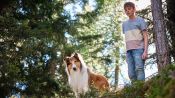 Lassie: A New Adventure Fragman