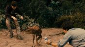 Jurassic Attack Fragman