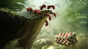 Minuscule: La vallée des fourmis perdues Fragman
