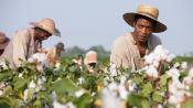 12 Years a Slave Fragman