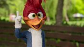 Woody Woodpecker Goes to Camp Fragman