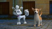 Dogs at the Opera Fragman