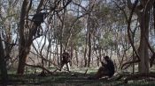 The Retrieval Fragman