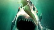 Ghost Shark Fragman