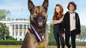 Max 2: White House Hero Fragman