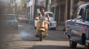 Yardie Fragman