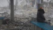 Donbass Fragman