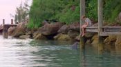 Dolphin Kick Fragman