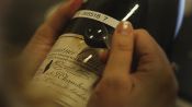 Sour Grapes Fragman
