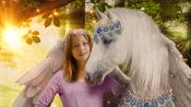 Pony with a Broken Wing Fragman