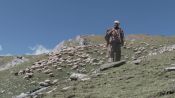 The Gold-Laden Sheep and The Sacred Mountain Fragman