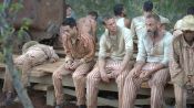 Papillon Fragman