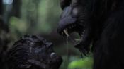 Primal Rage Fragman