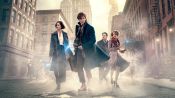 Fantastic Beasts and Where to Find Them Fragman