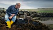 Billy & Molly: An Otter Love Story Fragman