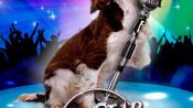 Pop Star Puppy Fragman