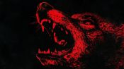 Coyotes Fragman