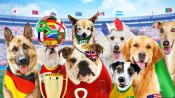 Pups United Fragman