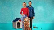 Love Is a Dog's Best Friend Fragman