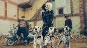 Cruella Fragman