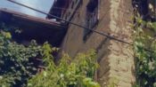 Ağacın Türküsü Fragman