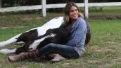A Sunday Horse Fragman