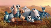 Yellowbird Fragman