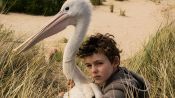 Storm Boy Fragman