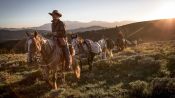Unbranded Fragman