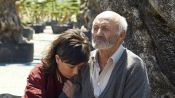 El olivo Fragman
