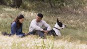 Seven Pounds Fragman