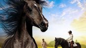 The Dark Horse Fragman