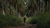 The Thin Red Line Fragman