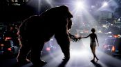 Mighty Joe Young Fragman