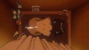 Perfect Blue Fragman