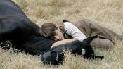 Black Beauty Fragman
